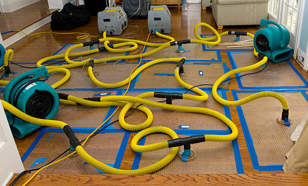 Professional Basement Flood Cleanup technician working in Amity, PA